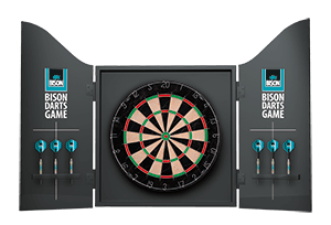 Dartboard